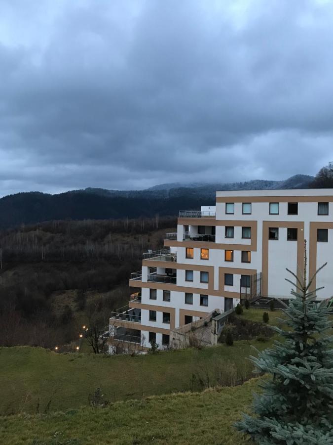 White Season Residence Брашов Экстерьер фото
